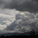 FGM 003 Bartmann Horst